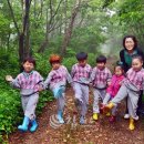 연화산 유아숲체험원 이미지