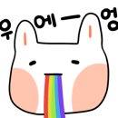 엔젤수족관 - 창원시 마산합포구 상남시장로 37 | 엔젤수족관
