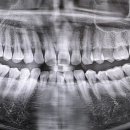 하얀드림치과의원 이미지