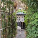 수성가든 | 수성구 제철 해산물 술집::안주가든 솔직후기