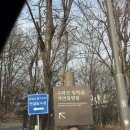 본동카페 | 노원 수락휴 | 서울 호텔같은 휴양림 수락휴 본동 투숙 솔직후기