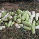 놀부농장 이미지