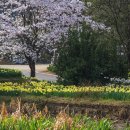 거북이마을 이미지