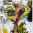 낙동강오리알 이미지