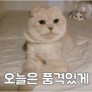 카페필립보