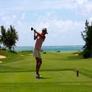 윈윈스크린골프 이미지