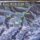 신봉1로430번길 이미지