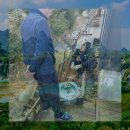 울산한약품 이미지