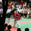 강호동태권도 | [택견 배틀 관람기] 후기지수(後起之秀)