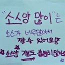 새롬동_새롬빌딩 | 세종시 유일의 타코야키 새롬동 타코야끼 굴림타코야키 세종새롬점 방문후기(Feat. 새롬동 디저트)