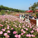 삼척 이미지