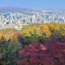 개미행정사 이미지