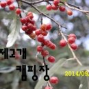 형제고개캠핑장 이미지
