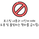 꾸미독 동탄애견미용 이미지