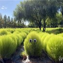 낙동강관리본부 화명생태공원 1 이미지