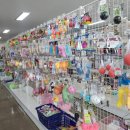 펫월드 경산임당점 | 경산애견용품 다양하게 있는 펫월드 경산임당점