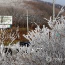 오서1천 이미지