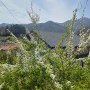 정원농장 이미지