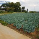 송시마을회관 이미지