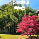 군민운수 | 담양 가볼만한곳 죽녹원 입장료 주차 정보 꿀팁