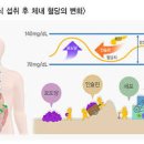 당화혈색소 뜻 당화 혈색소 낮추기 당화혈색소정상수치 이미지