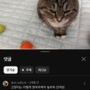 안심산길 이미지