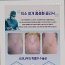 사과나무동물병원