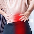 나는 상담소 가지 않고 자가 치유(SELF MEDICATION)한다 | 앉을수록 더 아프다? 허리부터 다리까지 저릿한 통증 ‘좌골신경통(Sciatica)’의 모든 것
