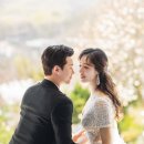 어바웃플라워 이미지