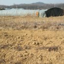 동녘농장 이미지