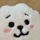 아크릴RJ | BT21 RJ 점보알제이 언박싱 후기 - 왕크니까 왕귀엽다!!