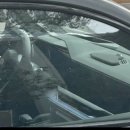 오로라2 이미지