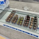 11월 1~2주차: 뜨겁게 달려가 나는 두려움이 뭔지 몰라 부서지면 거기서 또 시작해