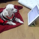 당곡1로 이미지