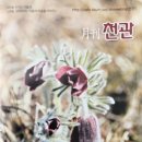 박형상 변호사, 3월 《월간천관》칼럼, 이청준과 회진초등학교 시절 -이청준 문학관을 위하여(8) 이미지