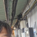 율면농장 이미지