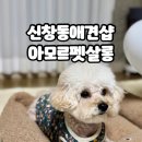 아모르 펫 살롱 이미지