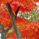 소금뱃길 이미지