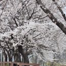 진양호주유소 이미지