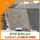 참신한공인중개사사무소 이미지