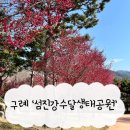 간전중앙로 | 구례 섬진강수달생태공원 홍매화 명소 주차정보 및 꽃놀이 후기
