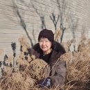 로이체. 이미지