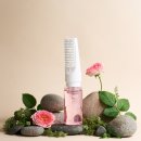 로즈펫 | 페리티🌹다마스크로즈 안티탱글 볼류밍 펫 브러쉬🌹후기