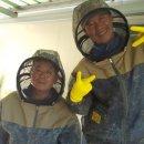 산골백두 이미지