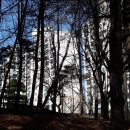 신나무실육교 이미지