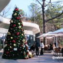 수락 농장 | 위 꿈같은 하룻밤 &amp; 행복한 숲속 다이닝, 수락산 자연휴양림 수락 휴, 씨즌서울 바이 홍신애 (내돈내산)