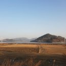 광일굴비수산