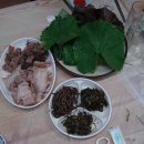 추성마을 이미지