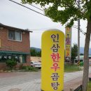 홍삼품은낙지