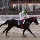 다이아로드 이미지